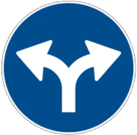 rechts-oder-linksabbiegen-(art.-24)