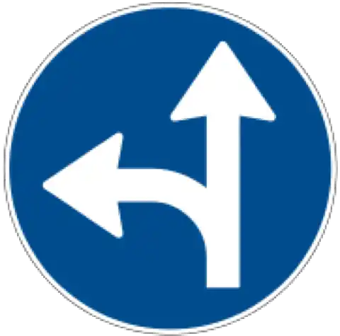 geradeaus-oder-linksabbiegen-(art.-24)